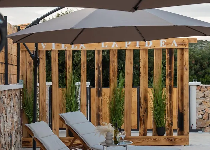 Lapidea * וודיצה